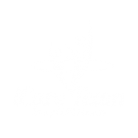 icare-team-white